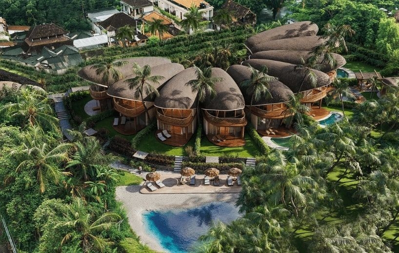 Αυτή η τροφή επιβραδύνει τη γήρανση με βάση μια νέα έρευνα - εικόνα 1