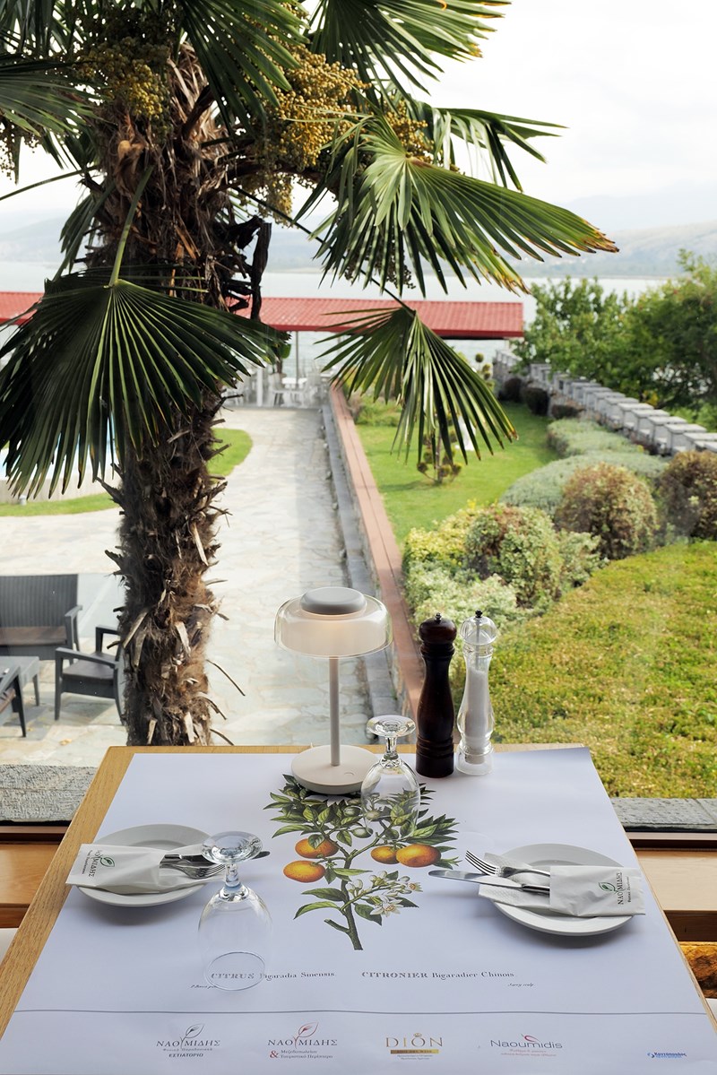 Ναουμίδης 1