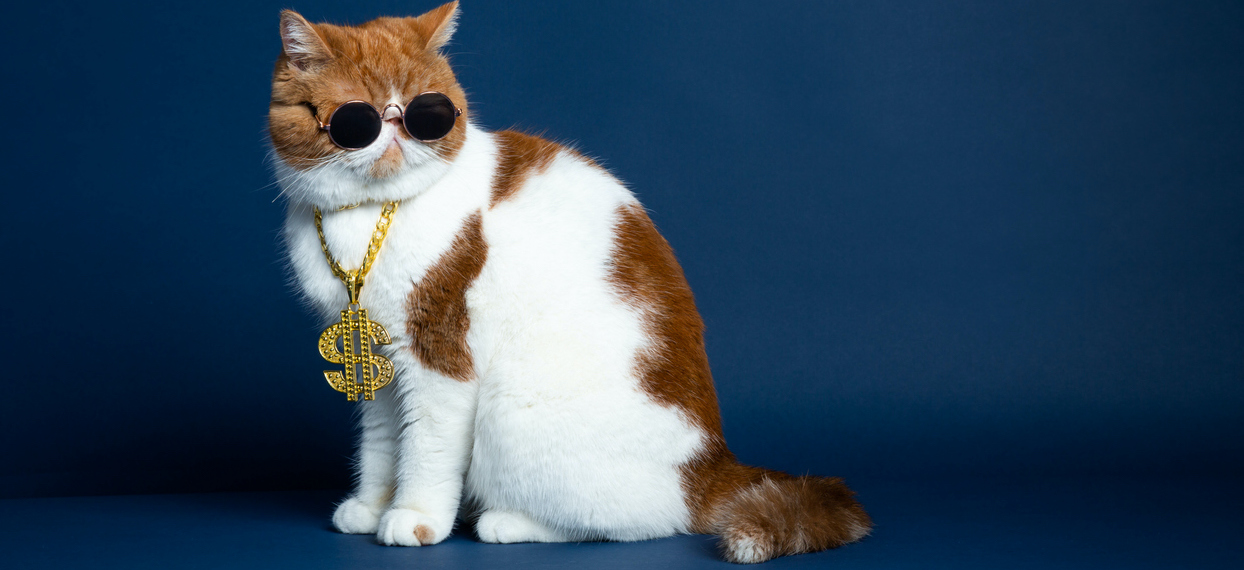 70 χρόνια Ρεκόρ Guinness-πώς ξεκίνησε ο θεσμός - εικόνα 1