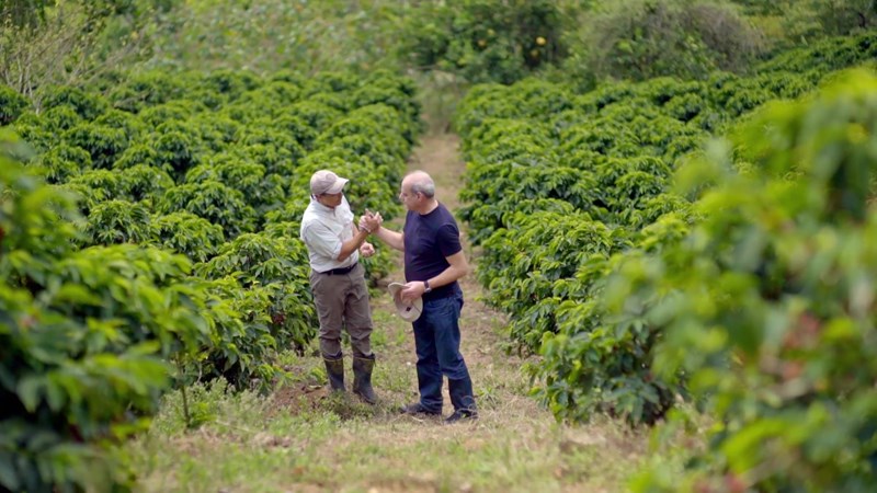 Γιάννης Ταλούμης Taf 16