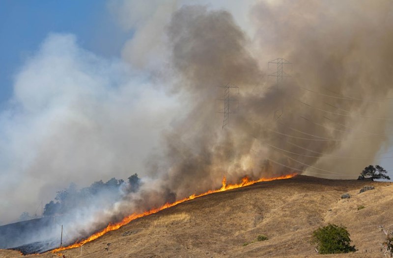 Καλιφόρνια 20