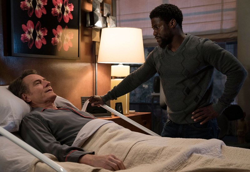 Η ΘΕΤΙΚΗ ΠΛΕΥΡΑ ΤΗΣ ΖΩΗΣ