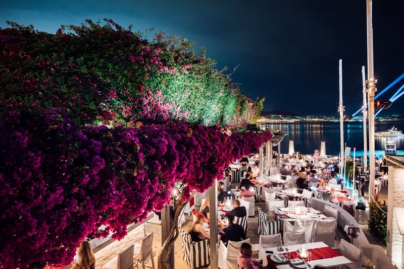 ΝΙΚΟΣ ΣΚΛΗΡΑΣ ΣΕΦ 1