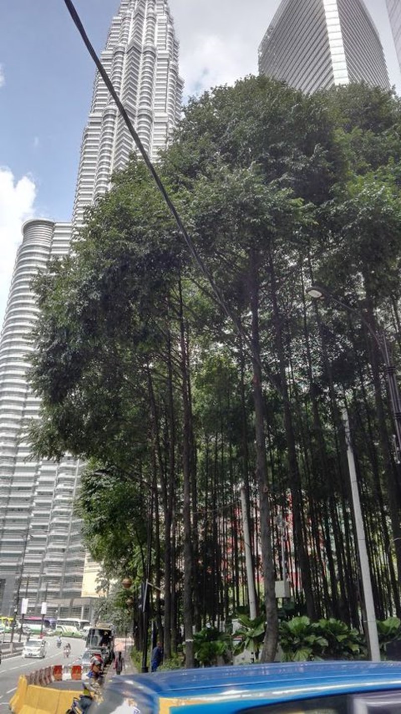 ΖΟΥΓΚΛΑ ΚΟΥΑΛΑ ΛΟΥΜΠΟΥΡ