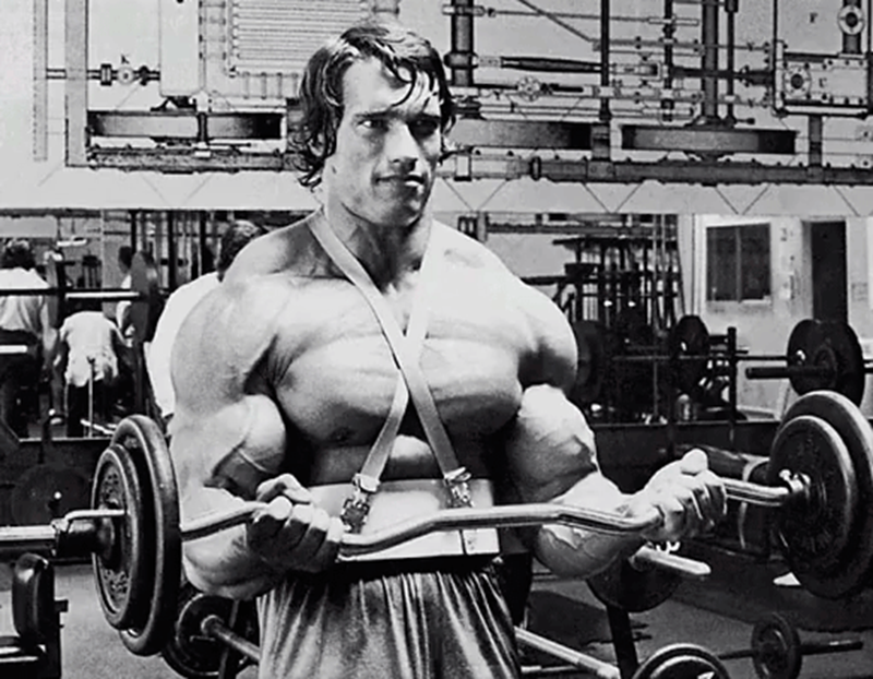 ΑΡΝΟΛΝΤ ΣΒΑΡΤΣΕΝΕΓΚΕΡ