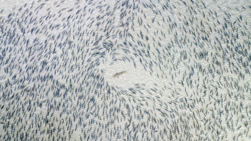 ΦΩΤΟΓΡΑΦΙΕΣ ΝΤΡΟΟΥΝ