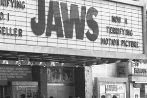 Σε άλλα νέα, καρχαρίας βόλταρε κοντά στο λιμάνι της Ζακύνθου - εικόνα 1