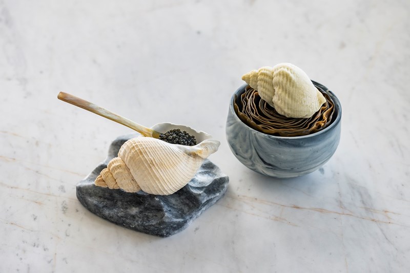 ΝΕΑ ΕΣΤΙΑΤΟΡΙΑ ΑΘΗΝΑΣ DELTA 1