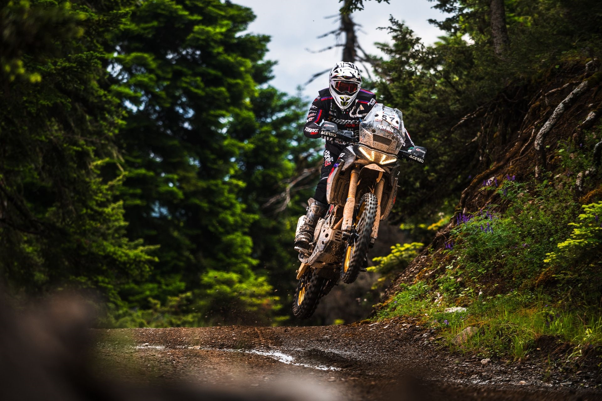 Νέα Aprilia RS 125 GP Replica: Όλη η γοητεία των MotoGP στην πιο προηγμένη μοτοσυκλέτα 125 cc - εικόνα 3