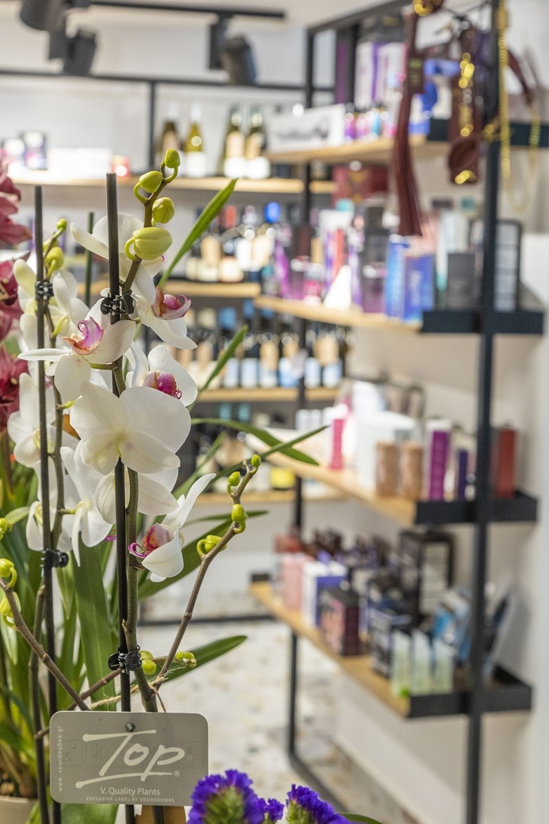 Ο Αλέξανδρος Γκικόπουλος στο Polyamorous 3