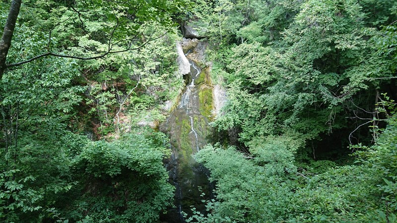 ΤΡΕΝΟ ΒΕΡΜΙΟ 4