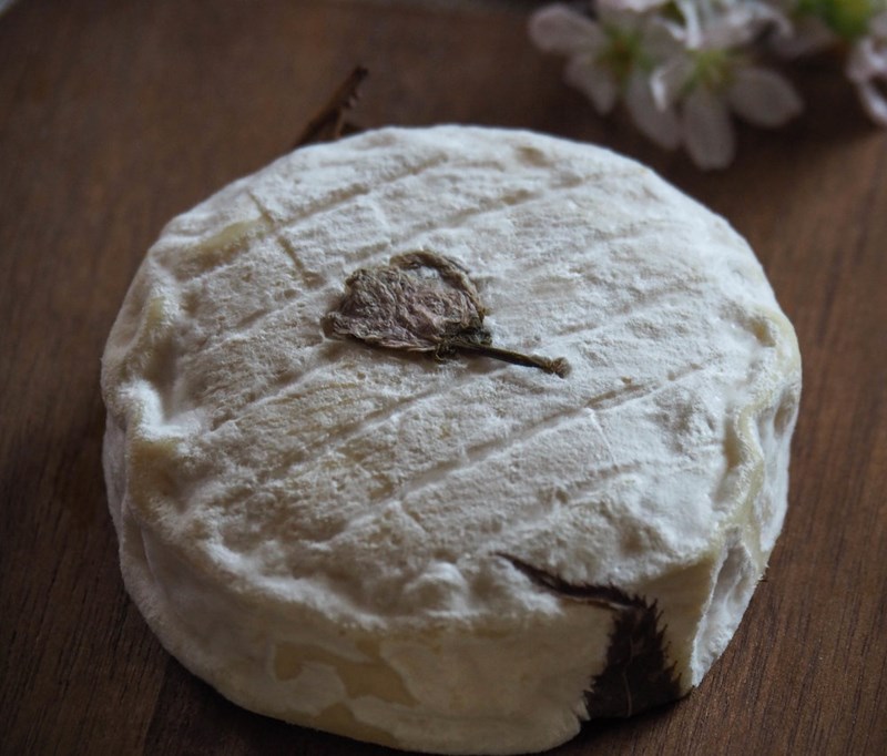 ΤΥΡΙ ΣΑΚΟΥΡΑ