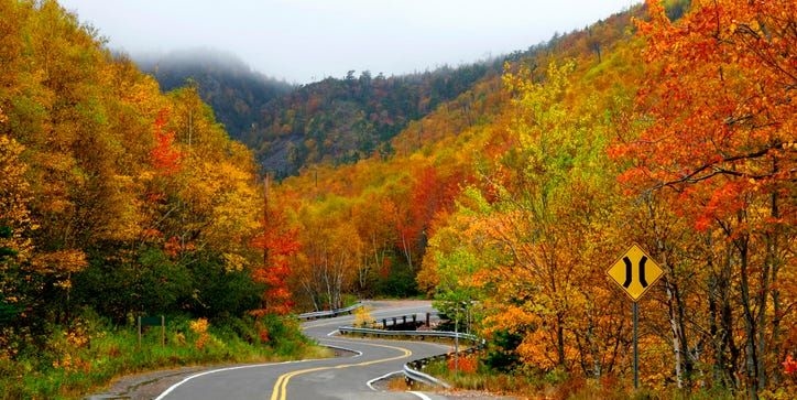 Πόσο εύκολο είναι να ζεις χωρίς αυτοκίνητο - εικόνα 1