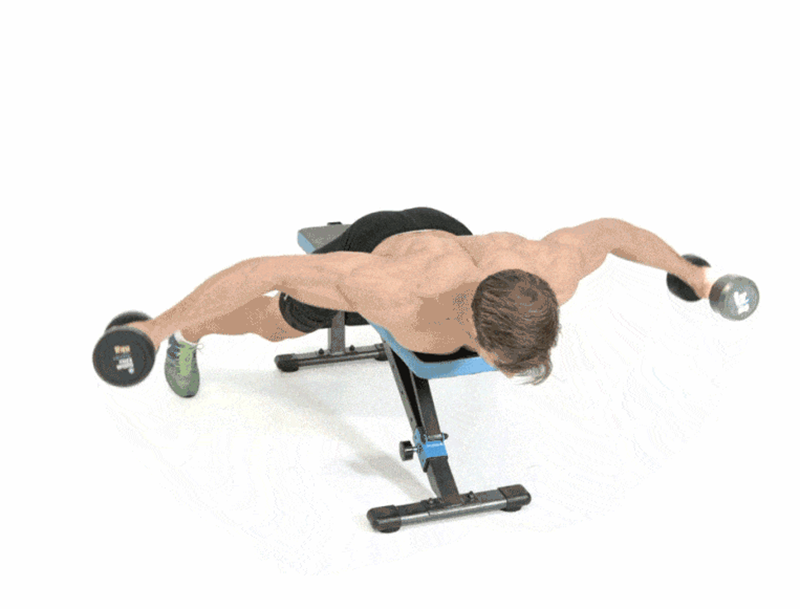 REVERSE SHOULDER FLY 3