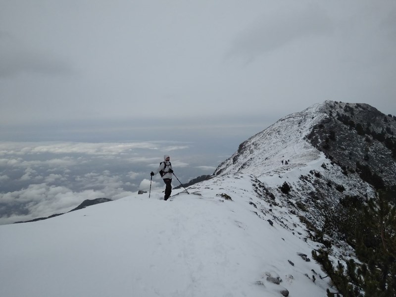 Malathro Olympus Guest House