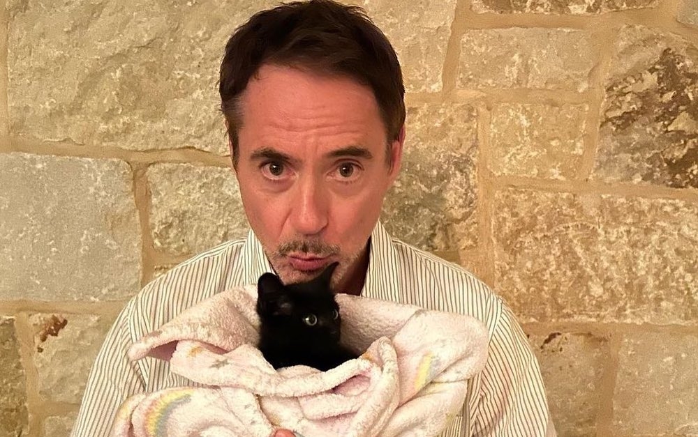 Αυτά είναι τα πιο χαριτωμένα ζώα στον κόσμο χωρίς καμία αμφιβολία - εικόνα 1