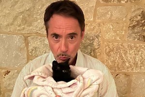 Αυτά είναι τα πιο χαριτωμένα ζώα στον κόσμο χωρίς καμία αμφιβολία - εικόνα 1