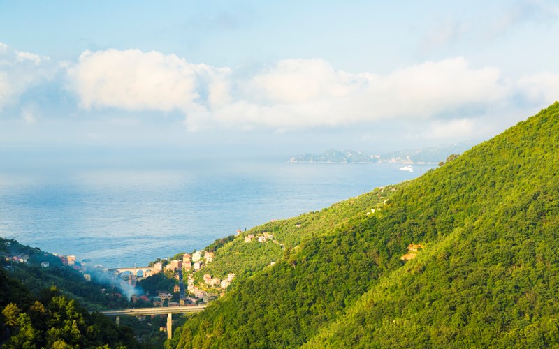 ΠΑΡΚΟ ΤΟΥ ΠΟΡΤΟΦΙΝΟ 3