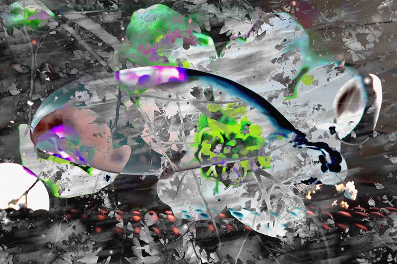 Κώστας Πηγαδάς