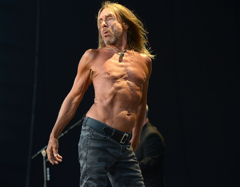 iggy pop