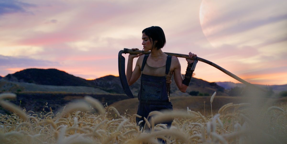 Κι όμως, το έδαφος του πλανήτη Άρη θυμίζει πλακόστρωτο - εικόνα 1