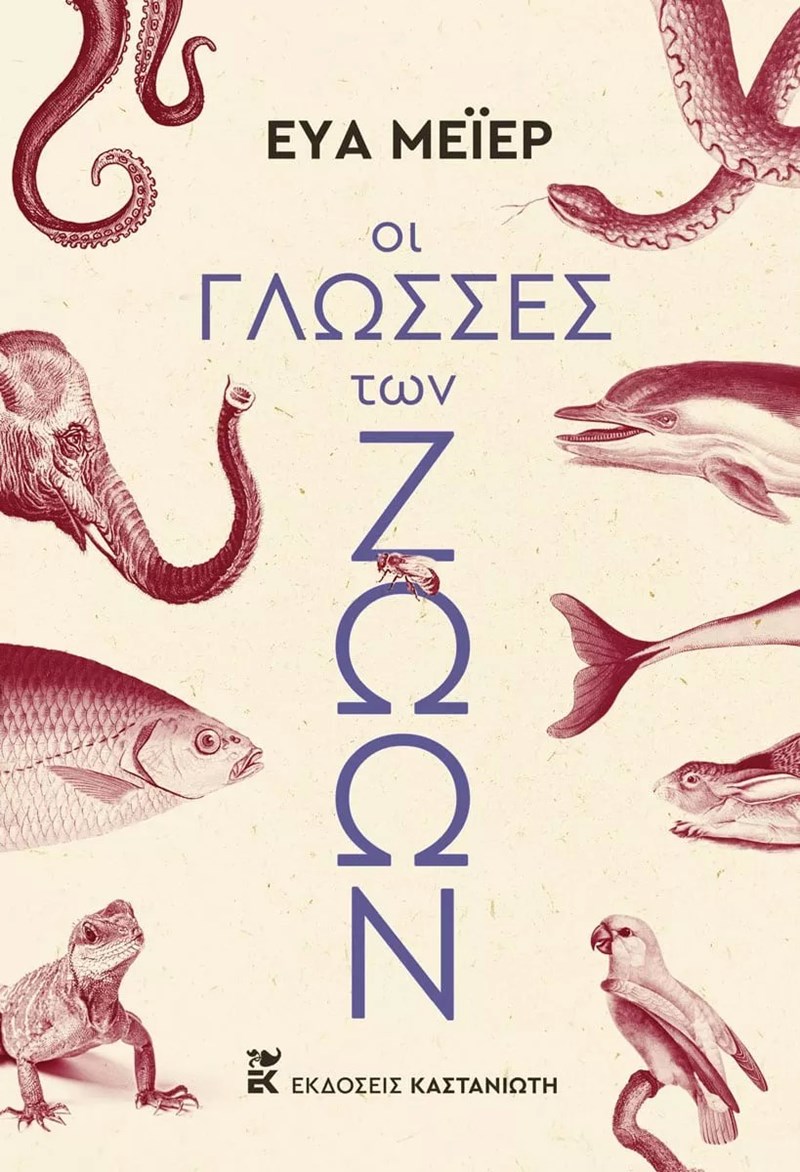 ΕΞΩΦΥΛΛΟ ΒΙΒΛΙΟΥ