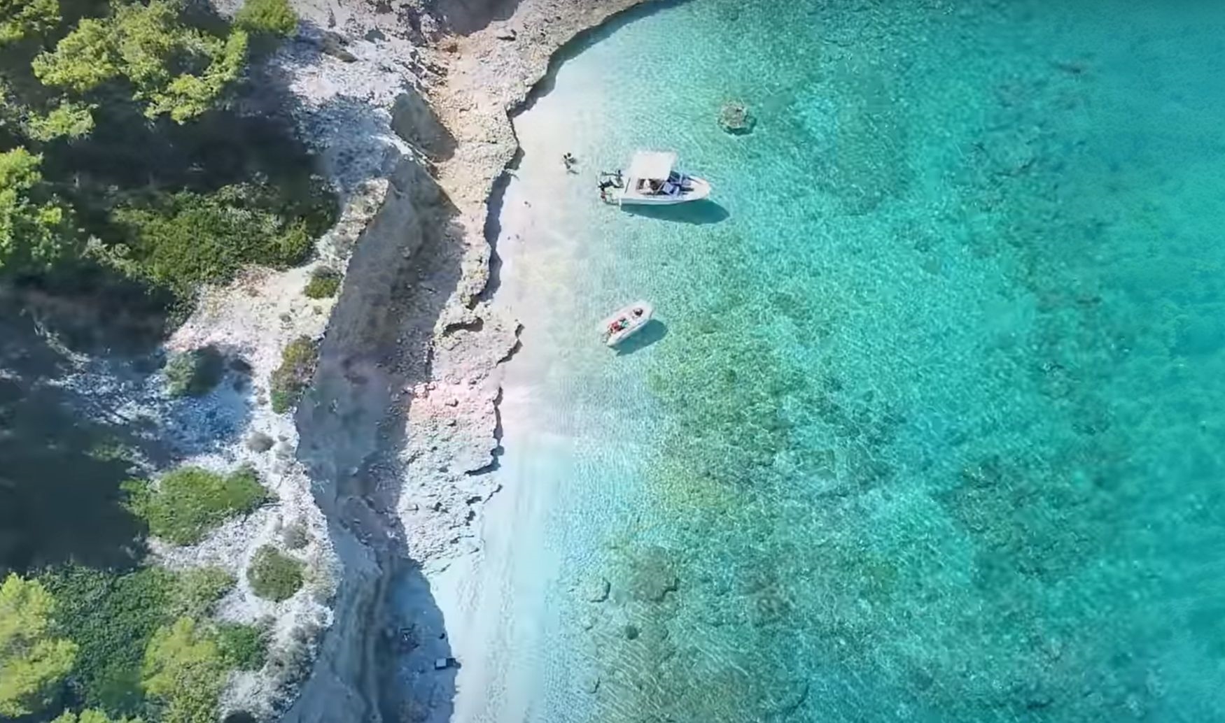 Γιατί δεν πρέπει να μαζεύουμε κοχύλια από την παραλία, σύμφωνα με την επιστήμη - εικόνα 2