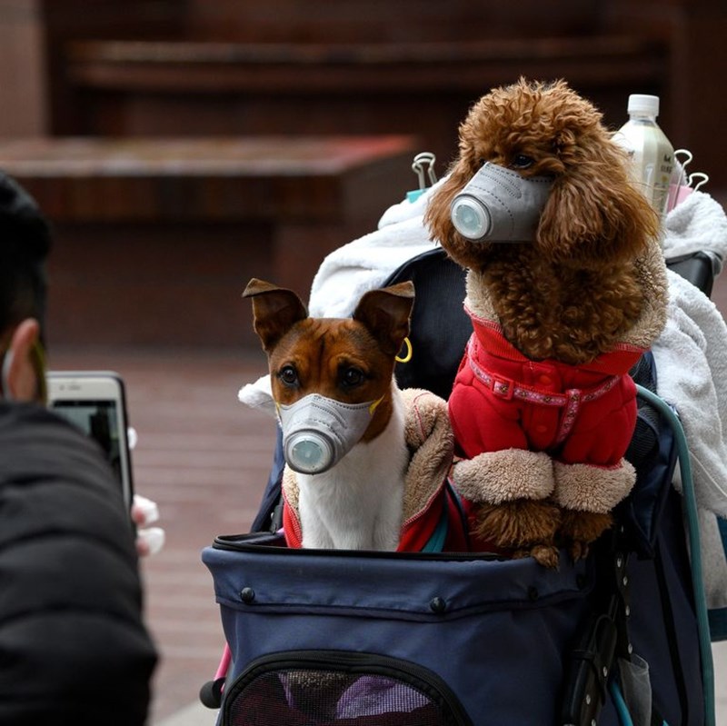 ΜΥΘΟΙ ΚΑΙ ΑΛΗΘΕΙΕΣ ΓΙΑ ΚΟΡΟΝΟΪΟ 2