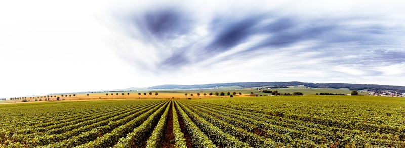 ΑΡΜΑΝΤ ΝΤΕ ΜΠΡΙΝΙΑΚ