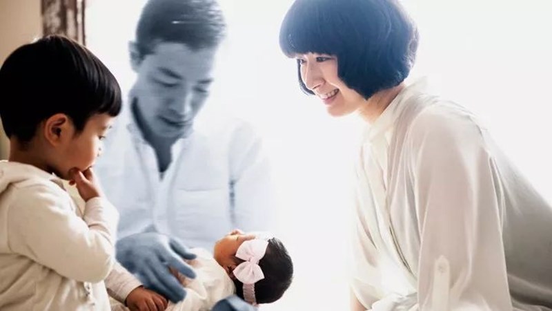 ΒΕΡΝΕΡ ΧΕΡΤΖΟΓΚ ΚΑΝΝΕΣ