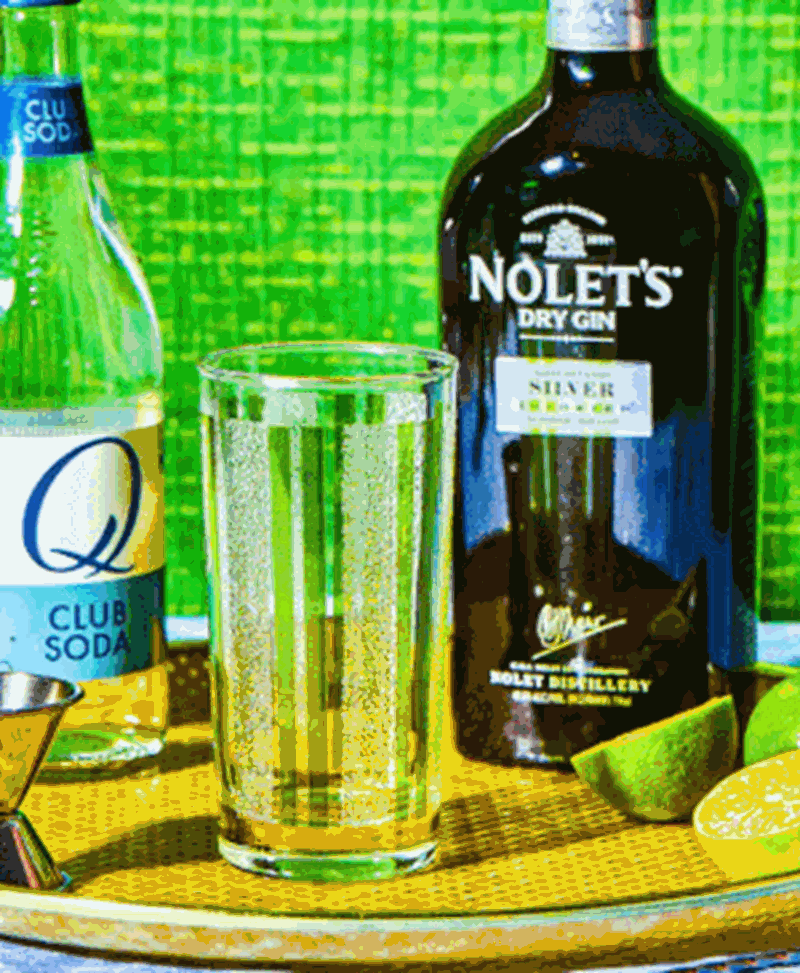 ΠΟΤΟ GIN RICKEY 1