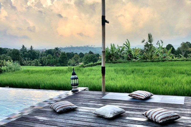 Pravassa θέρετρο