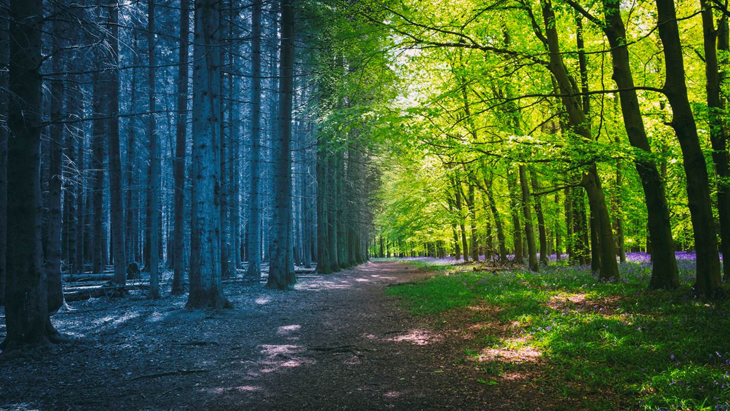 Η κλιματική αλλαγή θα εξαφανίσει την άνοιξη και το φθινόπωρο