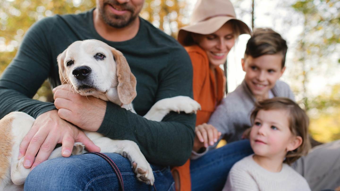 Πώς θα διαλέξετε τον πιο ταιριαστό σκύλο για την οικογένεια