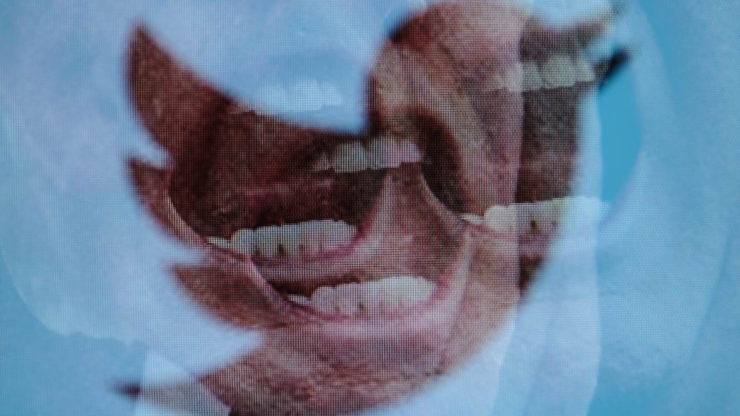 Το Twitter ανέστειλε ψεύτικους λογαριασμούς υποστηρικτών του Donald Trump