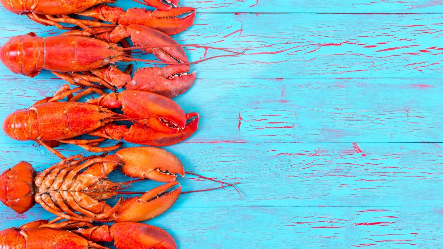 Γιατί ο αστακός πρέπει να μαγειρεύεται ζωντανός