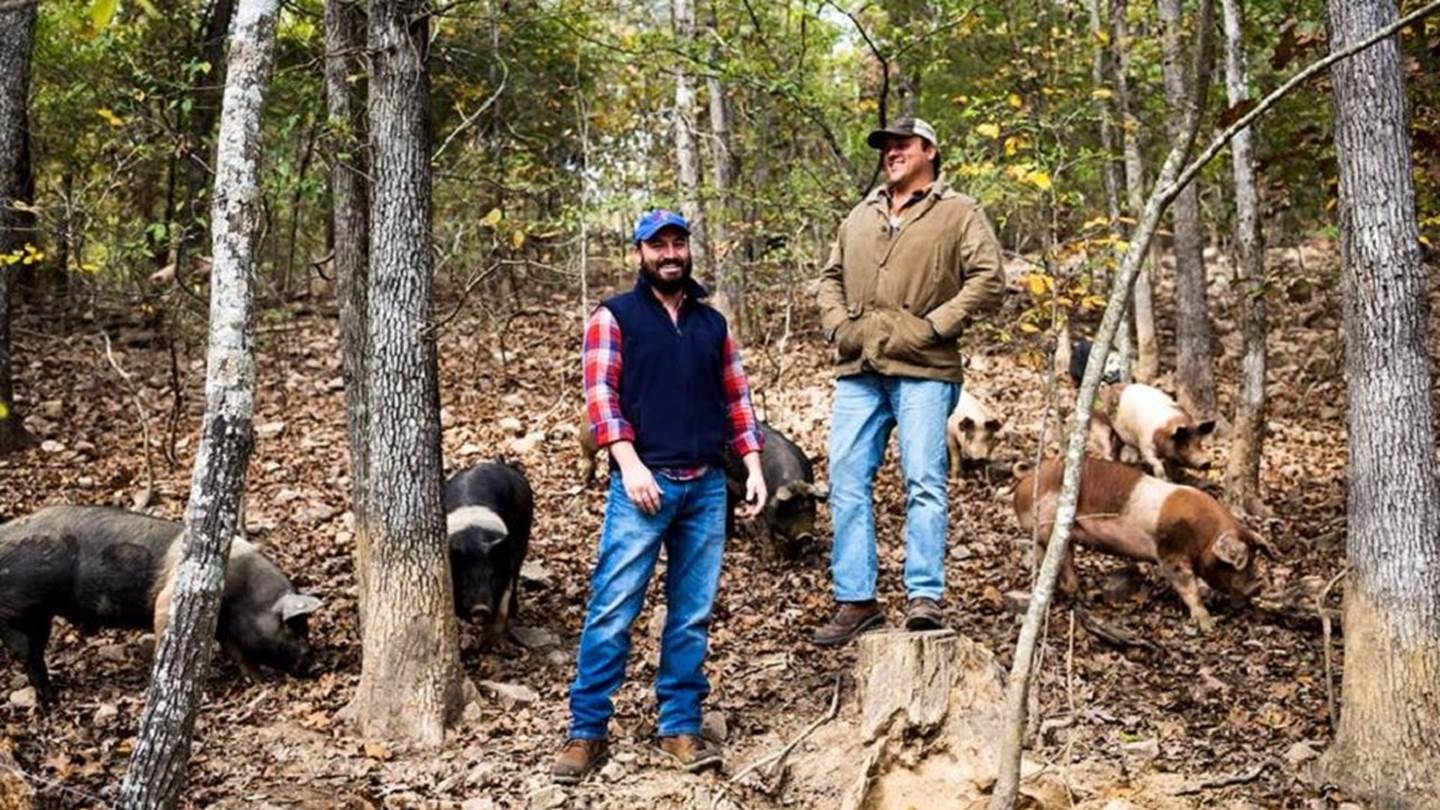 3 start-ups ανθίζουν εν μέσω πανδημίας