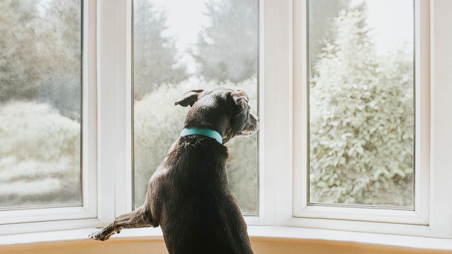 Καθόλου απίθανο να ζήσουμε ένα δεύτερο lockdown στην Αττική