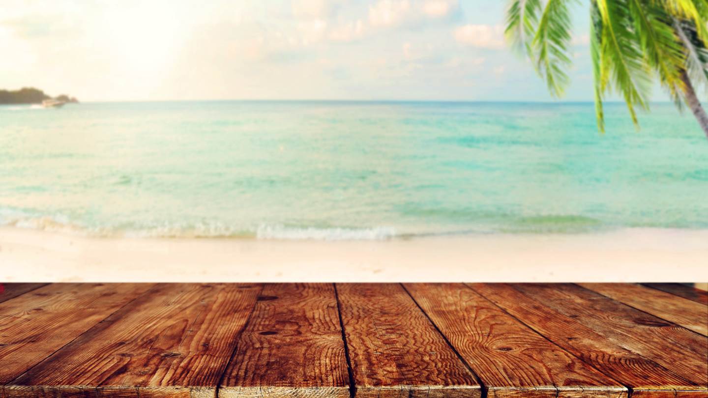 Οργανωμένες παραλίες, οι κανόνες λειτουργίας τους