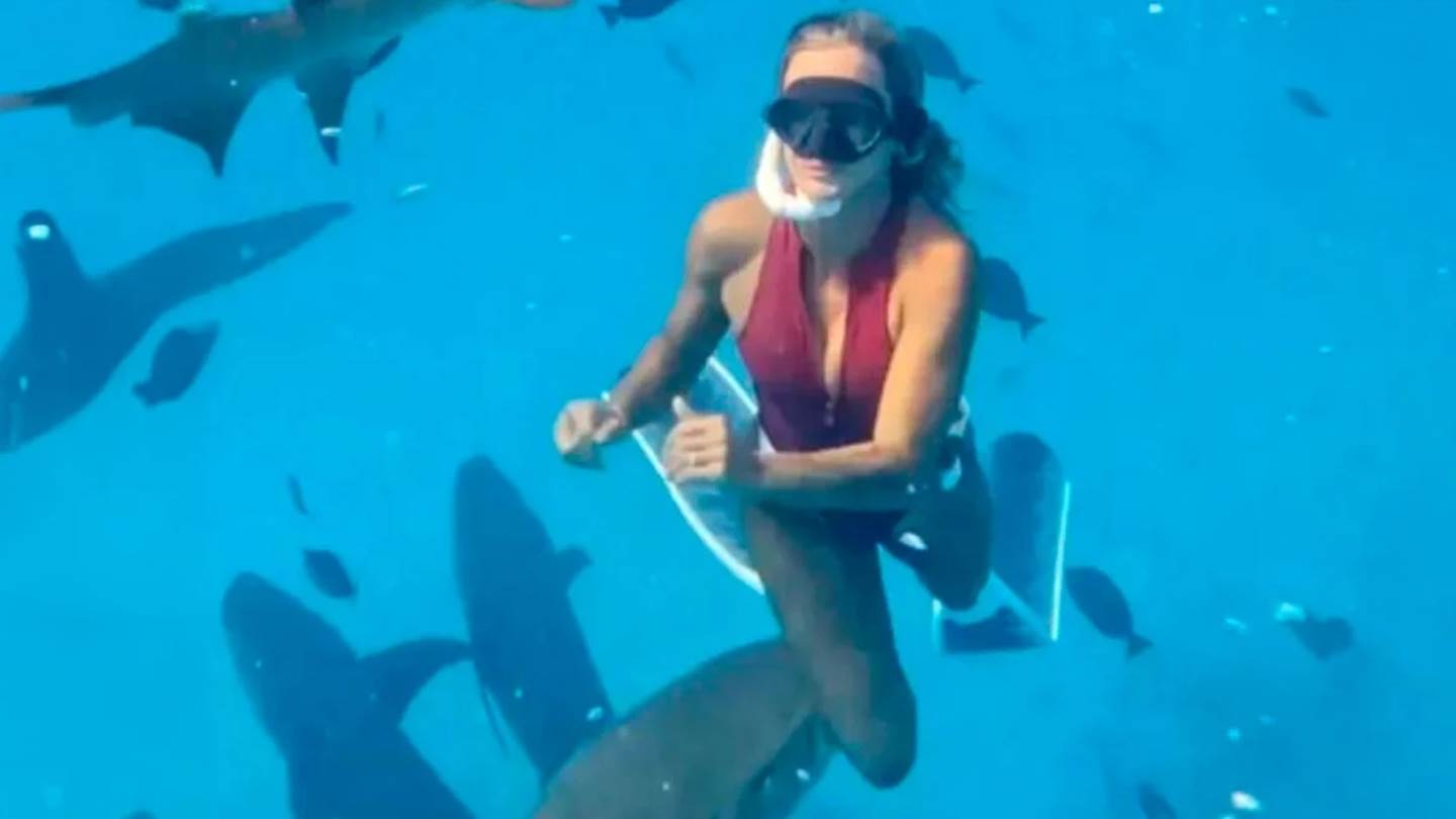Εκατομμύρια άνθρωποι είδαν τον καρχαρία που δάγκωσε influencer (video)