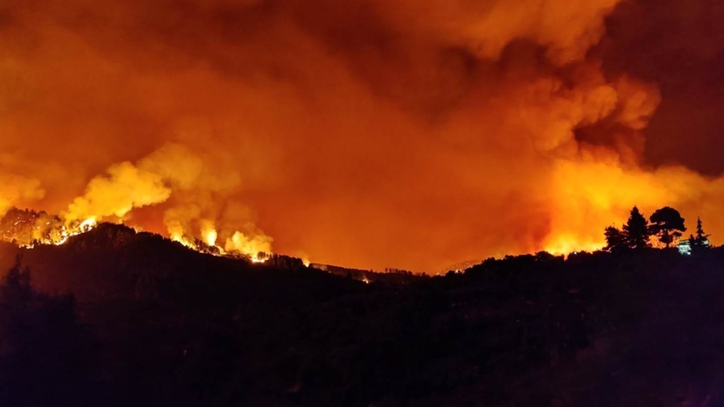 60.000 στρέμματα κάηκαν σε 4 μέρες, ο απολογισμός του Αστεροσκοπείου Αθηνών
