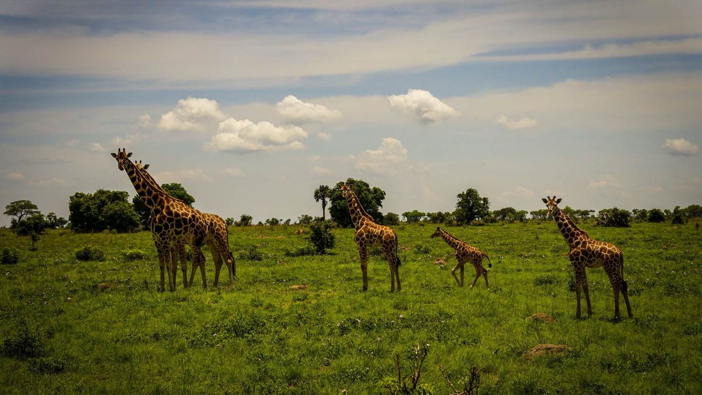 Τι μαθαίνεις κάνοντας φωτογραφικό σαφάρι στην Αφρική και μερικές υπέροχες εικόνες