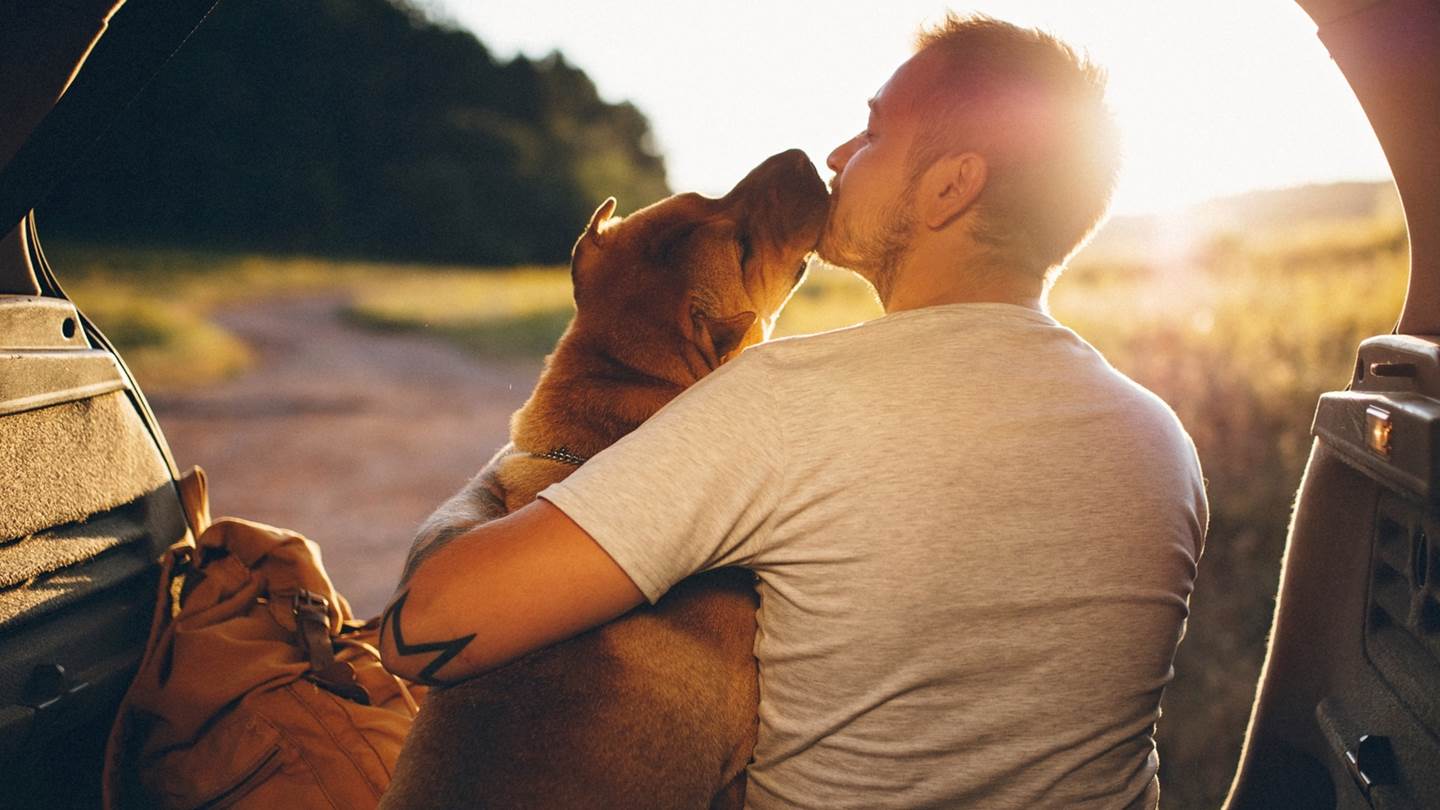 Ένα αντιγηραντικό φάρμακο για σκύλους μας δίνει ελπίδες