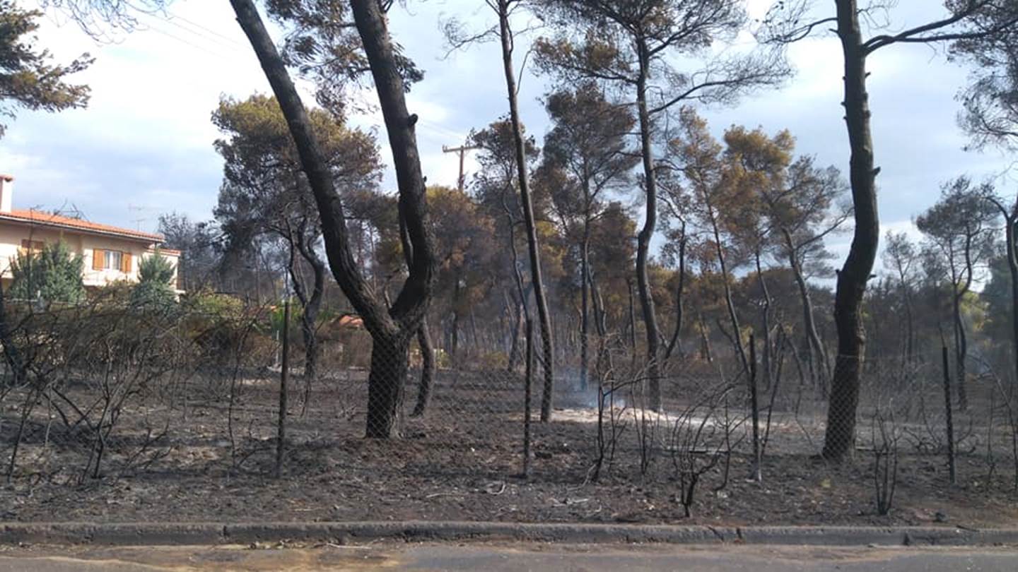 Σήμερα η απόφαση του δικαστηρίου για τη φονική πυρκαγιά στο Μάτι