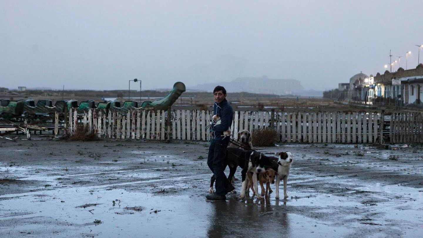 Dogman: Η ιταλική ταινία στο Ertflix που αξίζει να δείτε πριν κατέβει