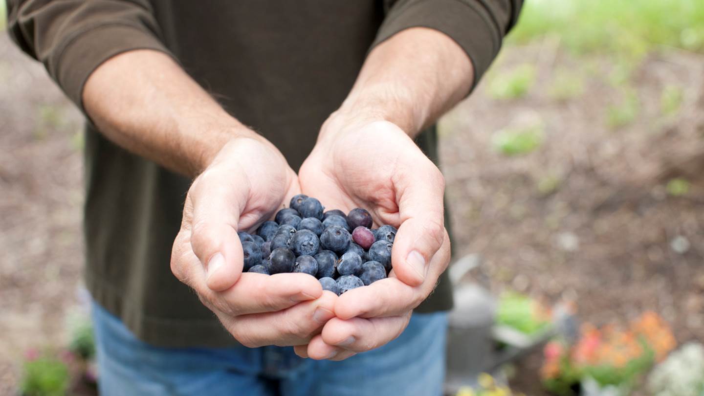 8+1 τροφές για ενδυνάμωση των μυών