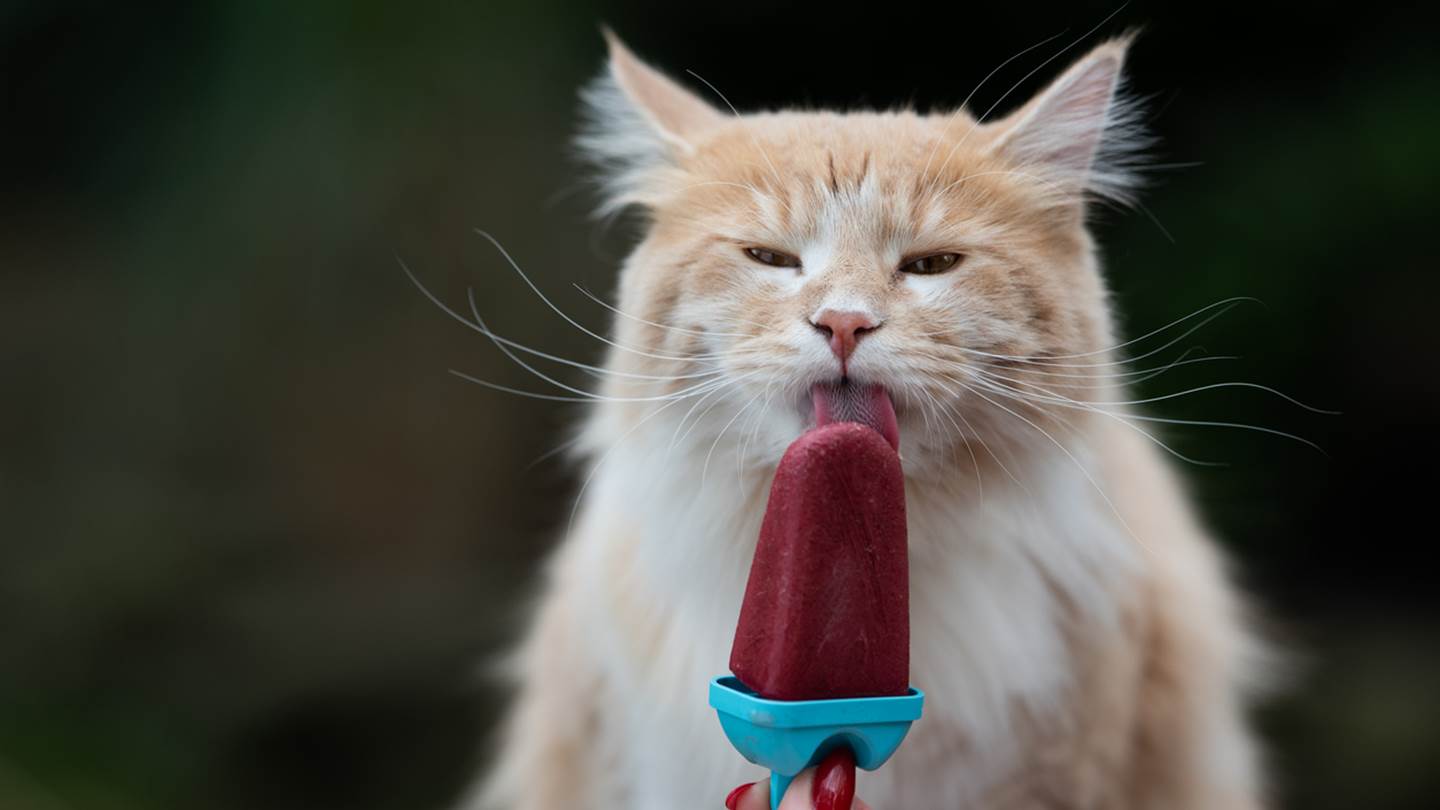 Οδηγός διατροφής για τις ημέρες του καύσωνα