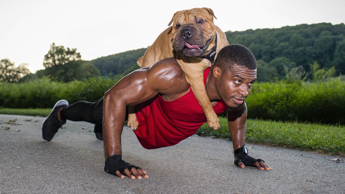 Γιατί ο σκύλος είναι ο καλύτερος προπονητής του ανθρώπου