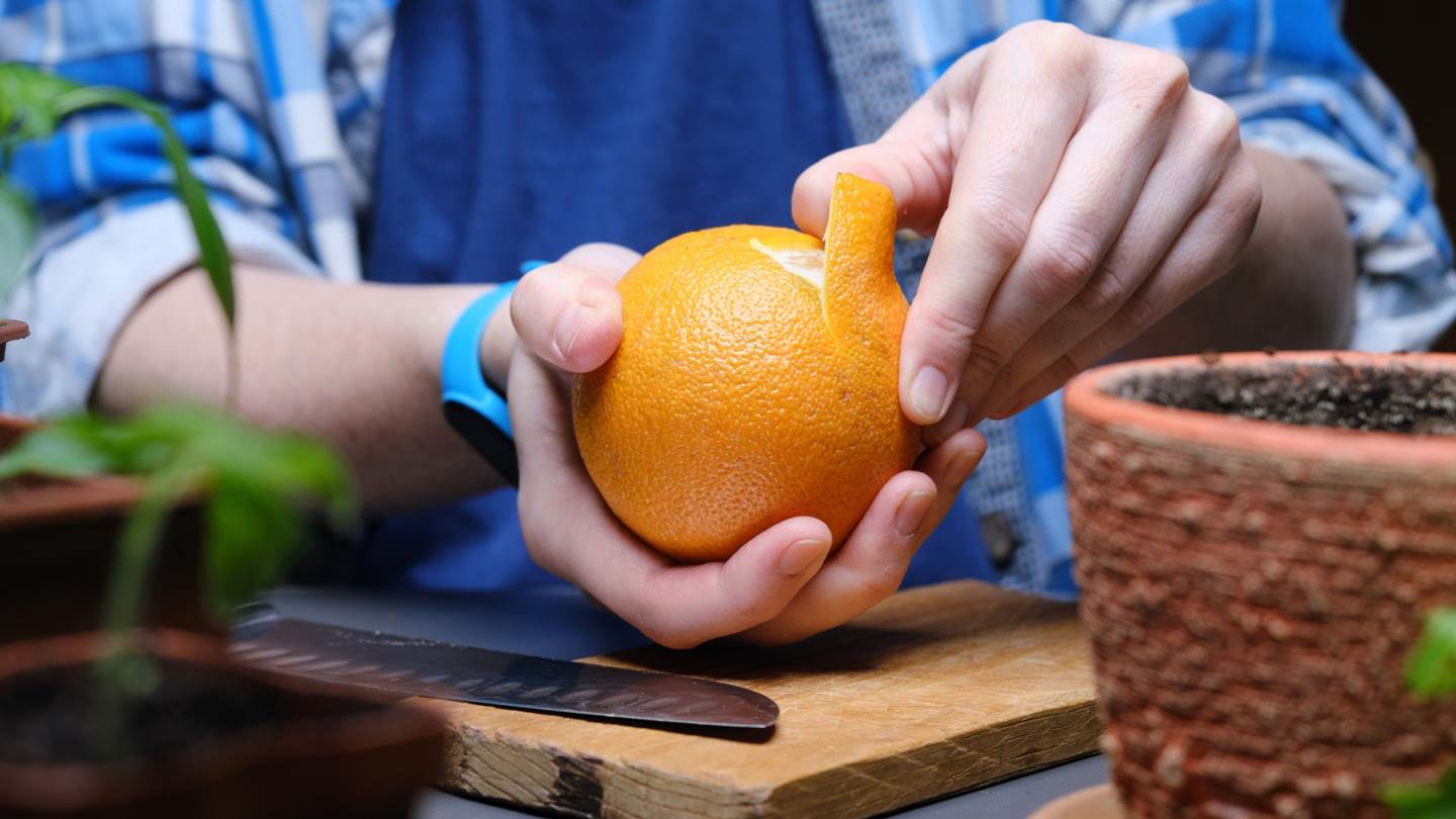 Tο 'οrange peel theory' είναι το νέο 'τεστ' σχέσεων που πρέπει να ξέρεις