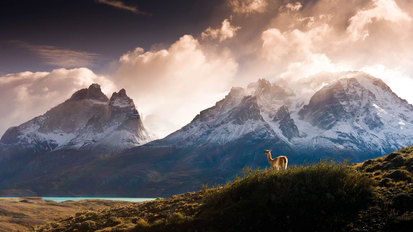 Στις άγριες στέπες, στις παγωμένες λίμνες και στα καταπράσινα λιβάδια της Χιλής